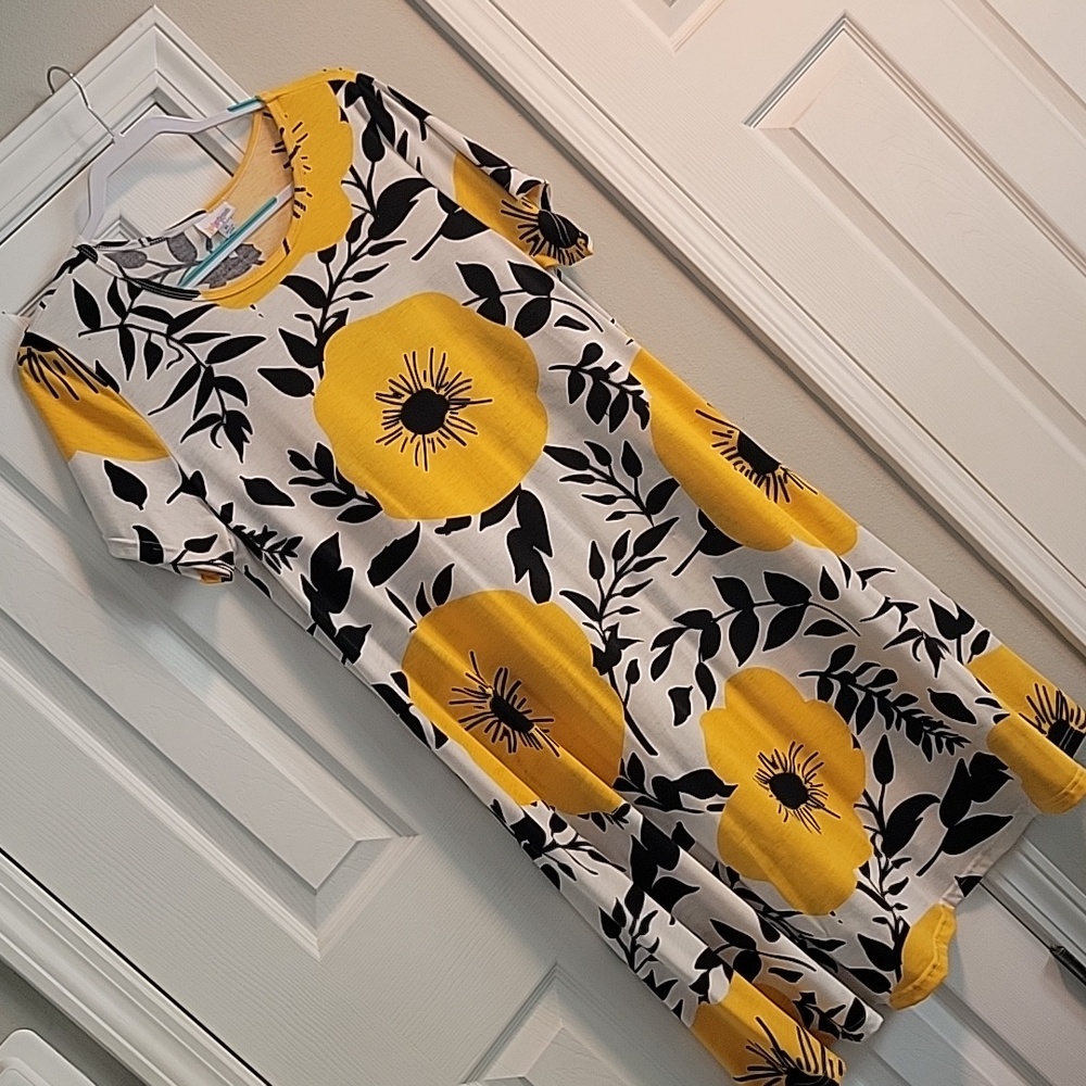 Lularoe Swing Jessie Dress, size XL